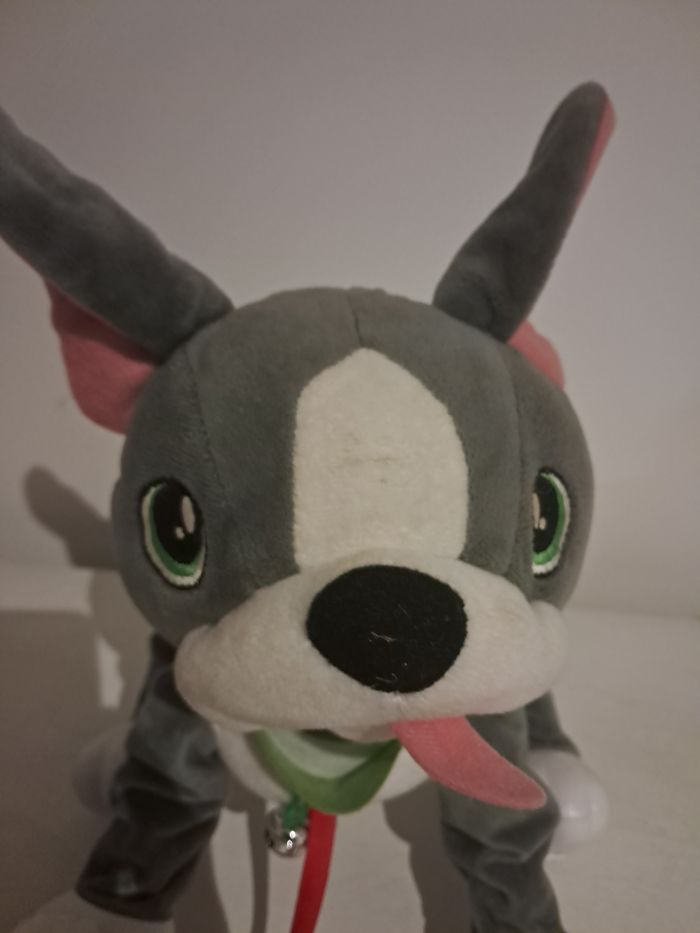 Chien - photo numéro 3