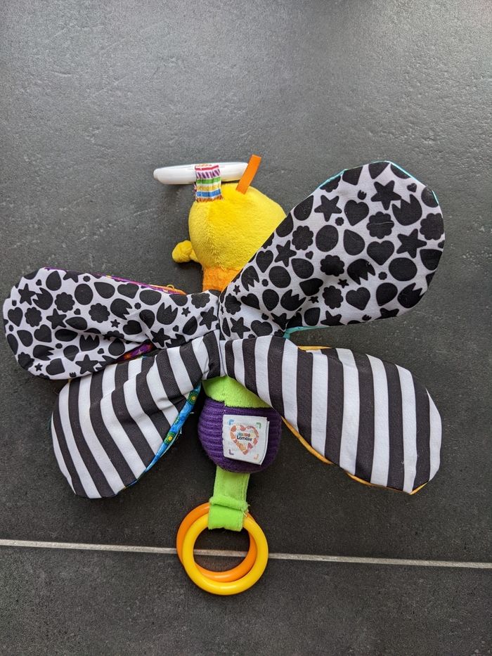 Papillon - photo numéro 2