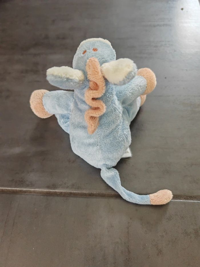 Âne bleu - photo numéro 2