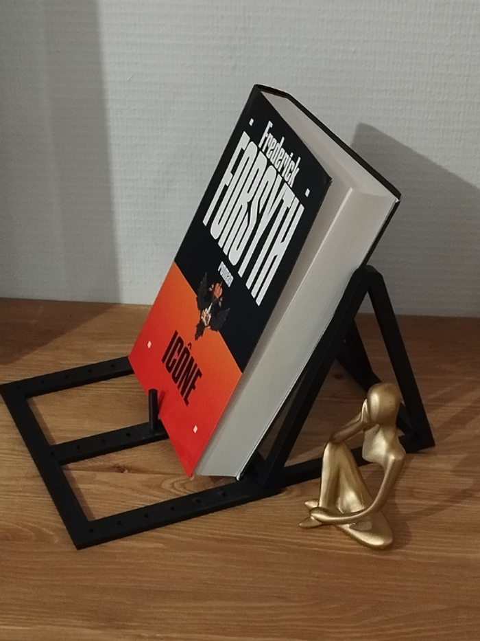 Roman thriller Icône de Frederick Forsyth - photo numéro 4