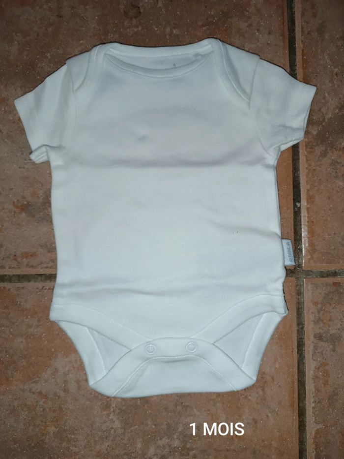 Body 1 MOIS