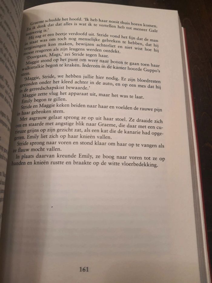 Boek Verdorven Brian Freeman - photo numéro 6