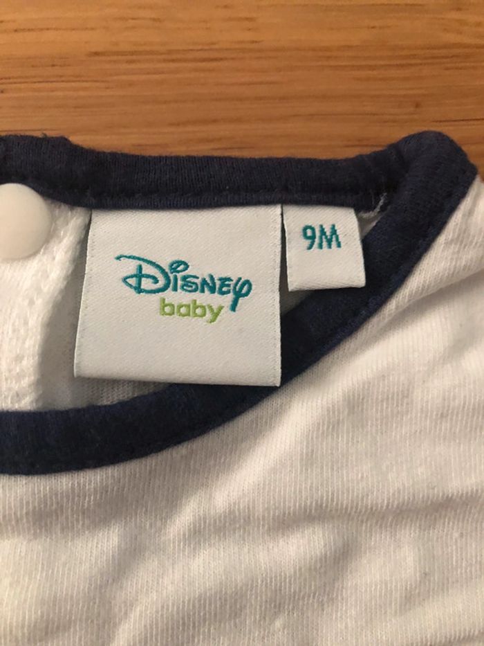 Grenouillère - photo numéro 3