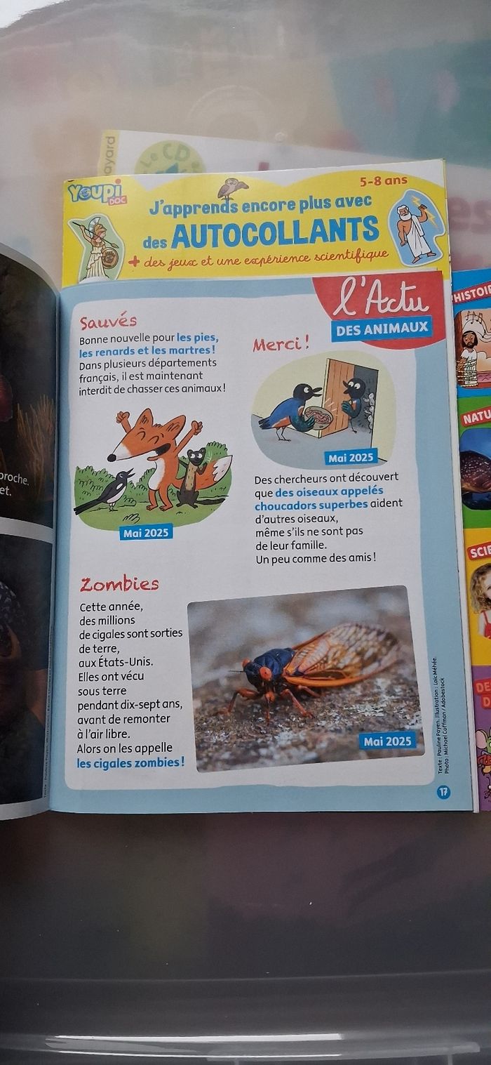 Youpi doc - photo numéro 3