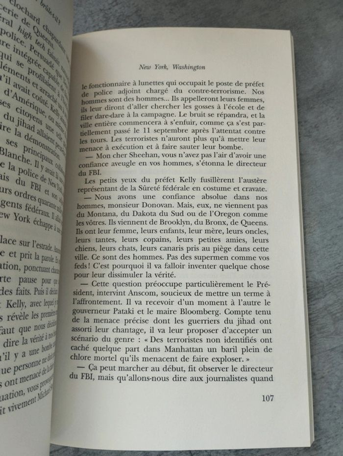 Livre New York brûle-t-il ? - photo numéro 3