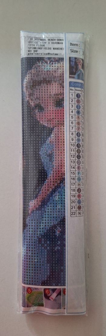 Broderie diamant Reine des Neiges
