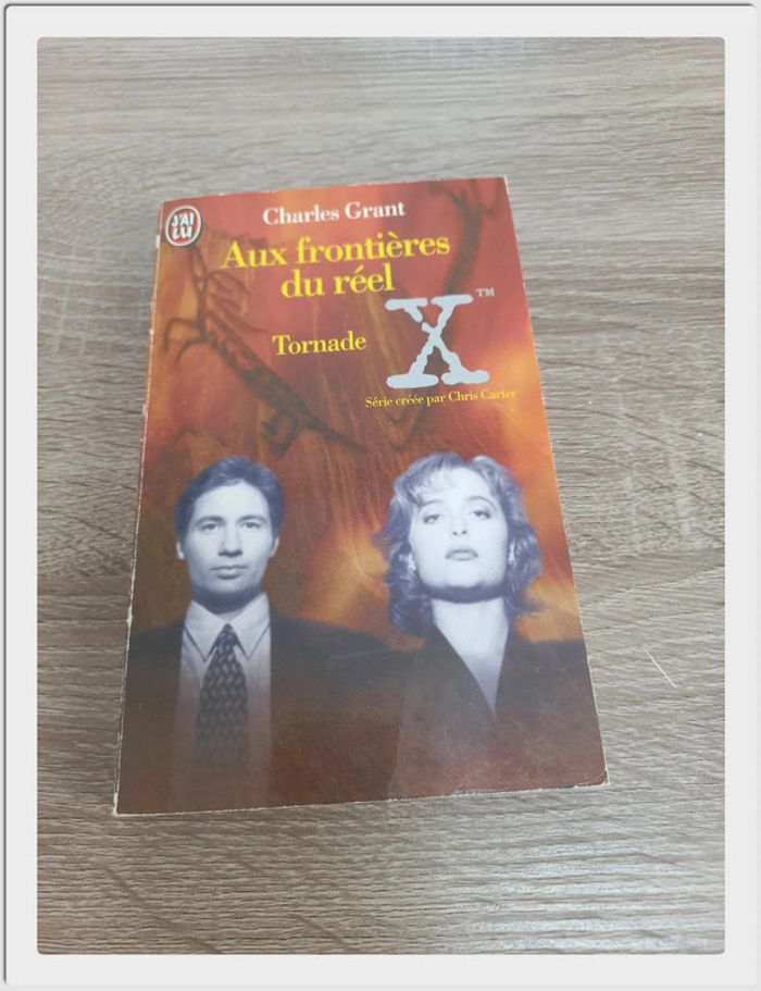 Aux frontières du réel : Tome 2 - Tornade
