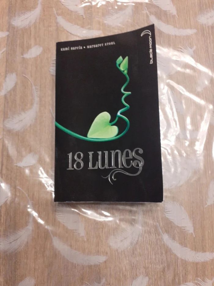 16/17/18 et 19 lunes - photo numéro 7