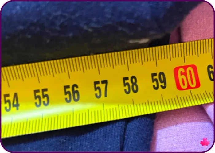 🌷hoodies fille court 🌷 - photo numéro 7