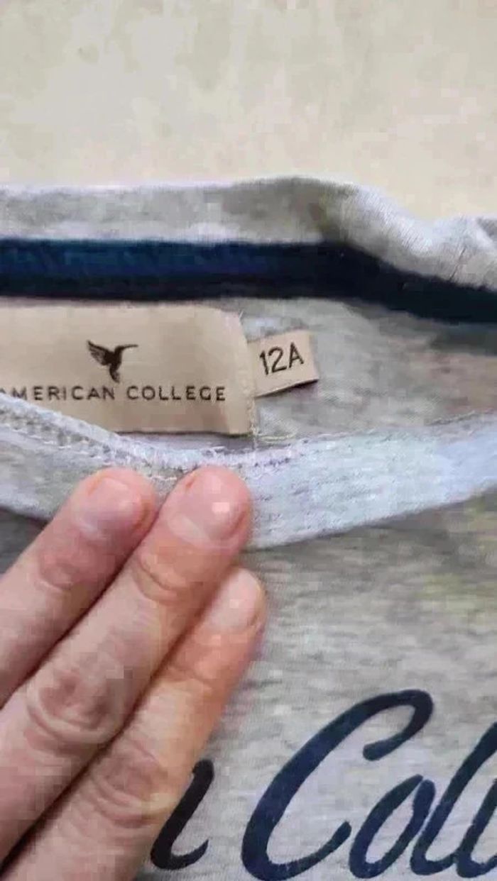 T-shirt manches courtes gris American College 12 ans | Look tendance ! - photo numéro 3