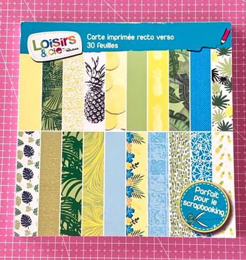 Bloc 30 cartes imprimées recto verso Loisirs & Cie by Roldan