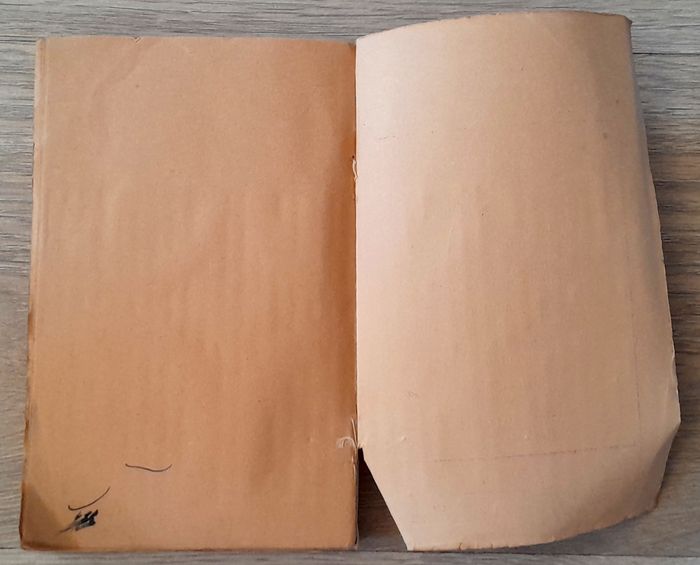 la vie de Ramakrishna - Romain Rolland - photo numéro 10