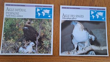 2 fiches éditions Atlas sur l'aigle