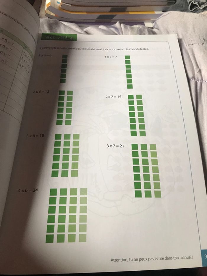 Tatou Math 2 Plantyn - photo numéro 2