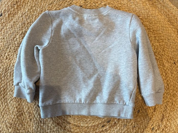 Sweat Lacoste - photo numéro 2