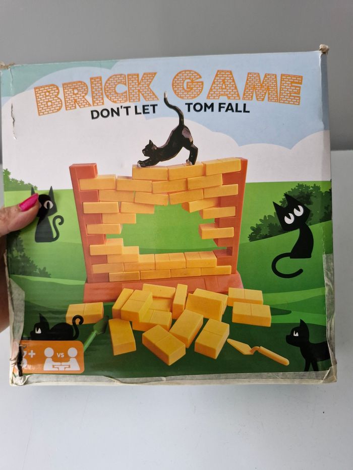Jeu de briques Tom le chat