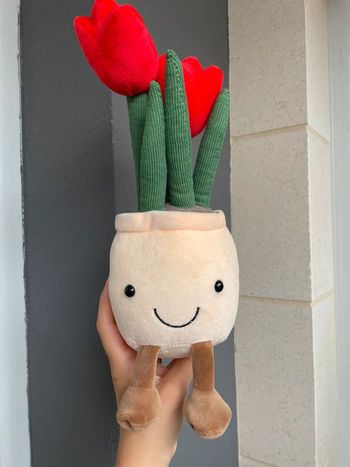 Peluche Pot de Fleurs Rouge 🌹
