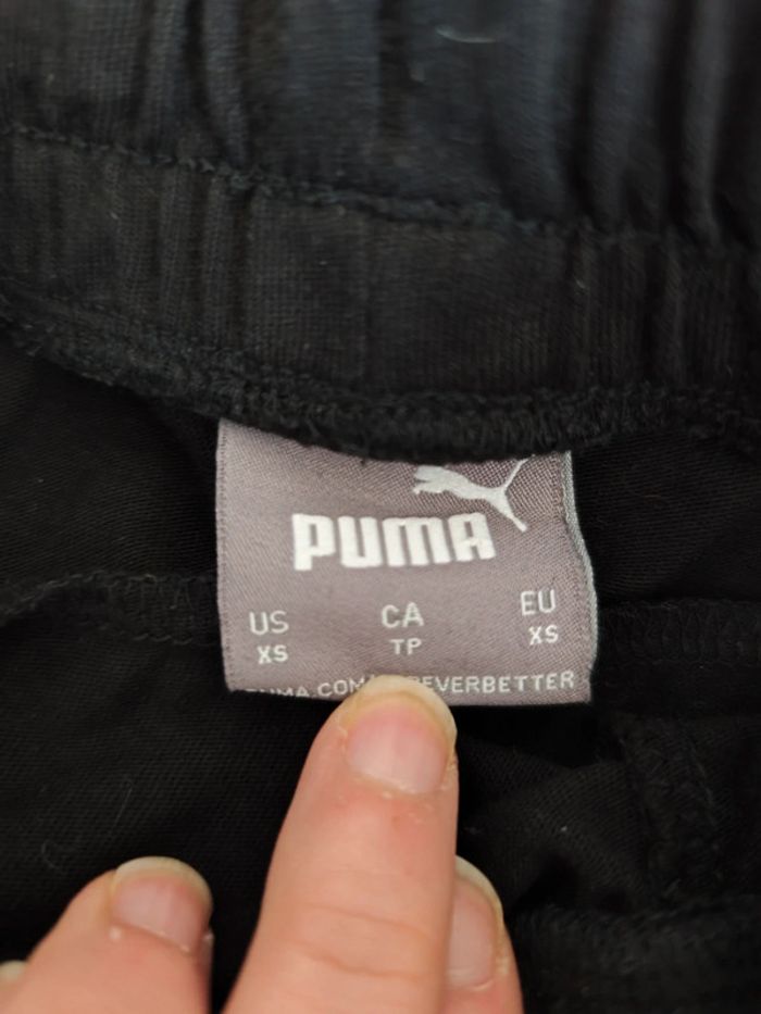 Short puma - photo numéro 3
