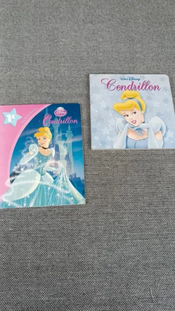 Livres cendrillon