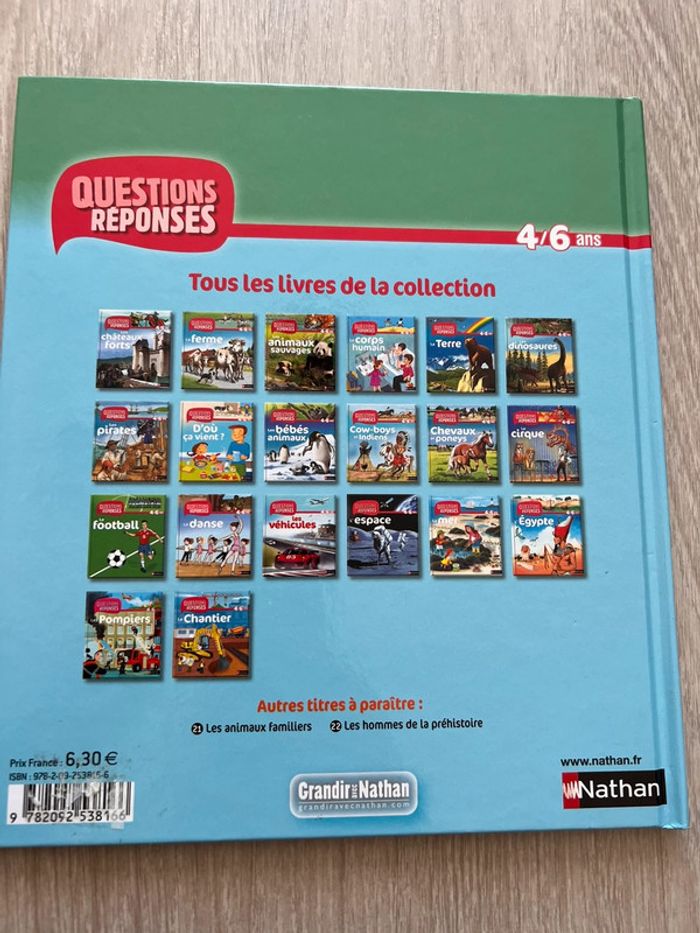 Question Réponse Égypte - photo numéro 2