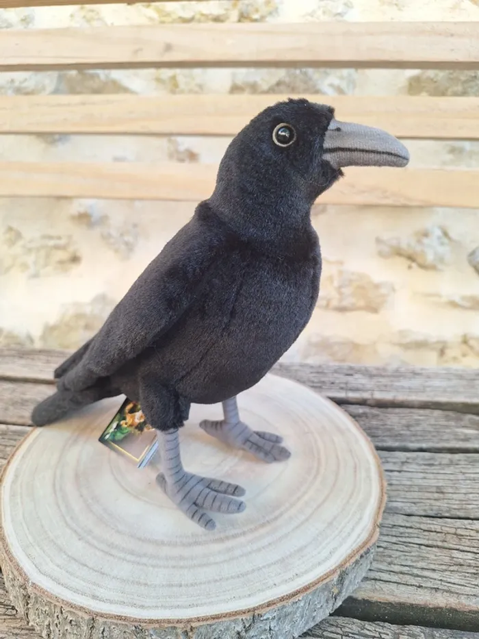 black crow corbus corbeau raven corvo cuervo rabe Hansa anima - photo numéro 7