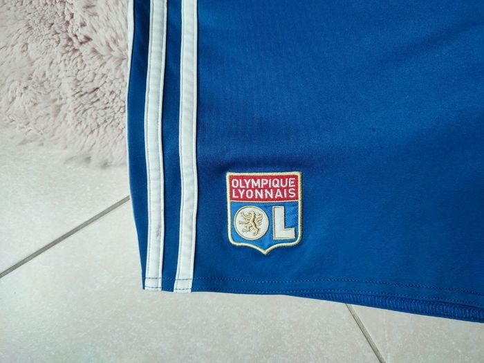 Ensemble olympique lyonnais 2016 2017 - photo numéro 3