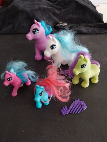 Poneys x5