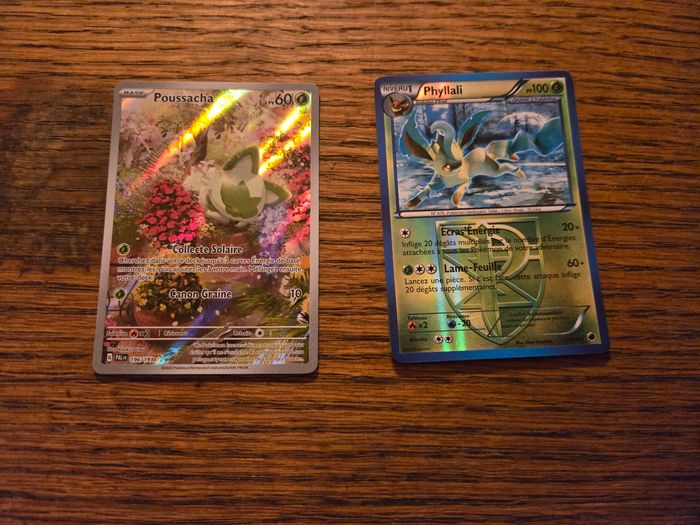 2 cartes pokemon françaises officielles