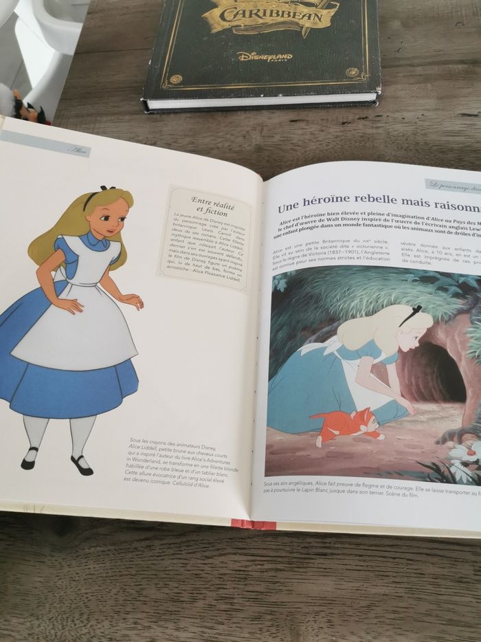 Livre alice au pays des merveilles - photo numéro 5