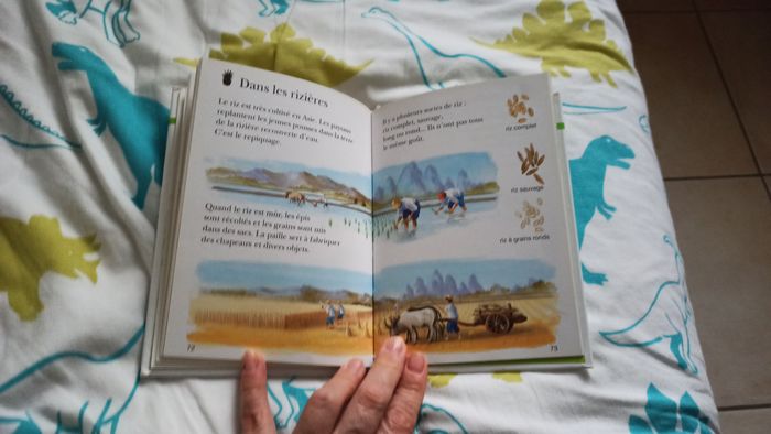 Livre Ma première encyclopédie A la ferme - photo numéro 6