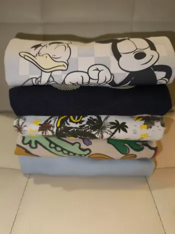Lot 5 t-shirts manches courtes