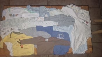 Lot 14 bodys taille 3 mois
