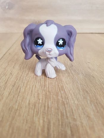 Little Pet Shop cocker épagneul