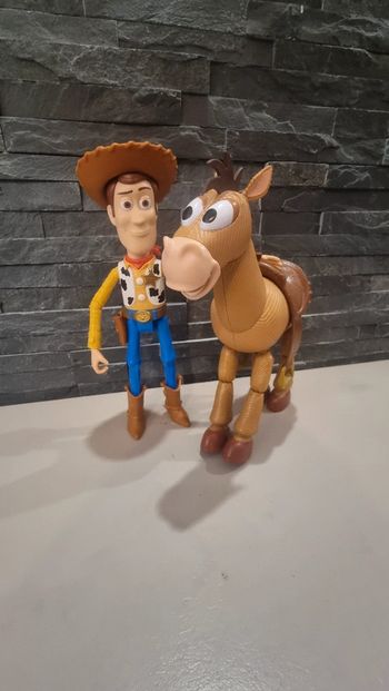 Woody et pile poil