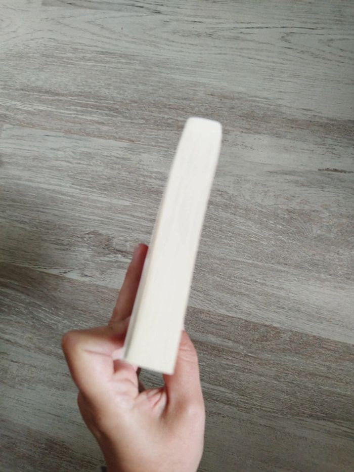 Livre presque jeune presque jolie de nouveau célibataire - photo numéro 4