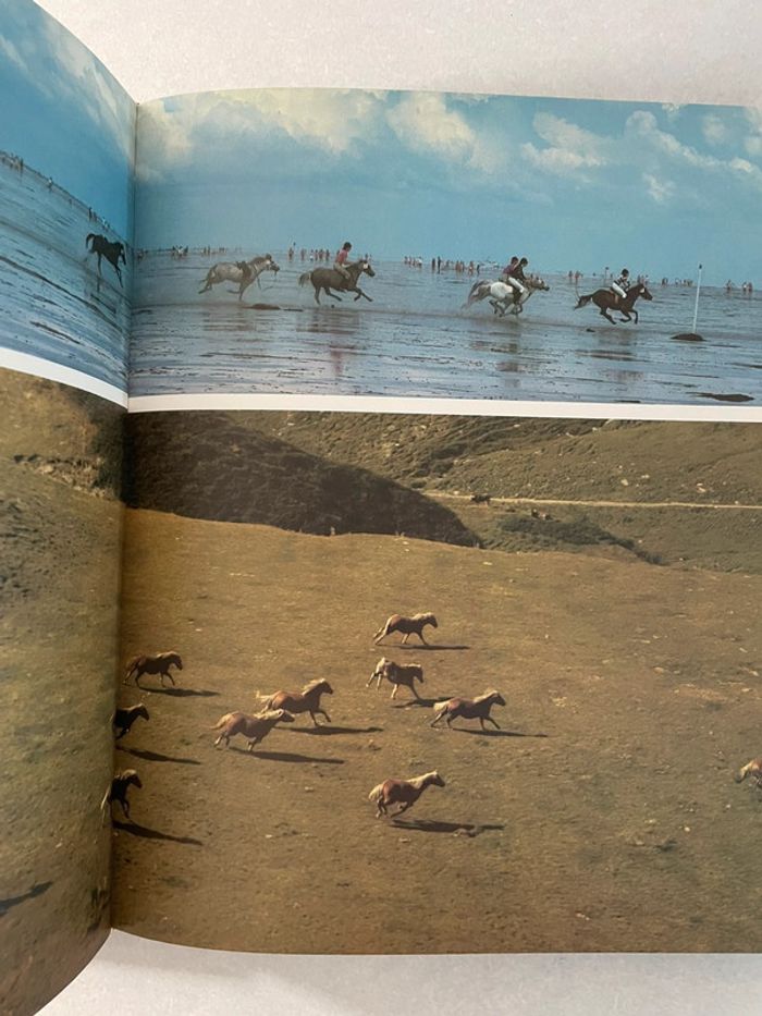 Le cheval et nous - photo numéro 3