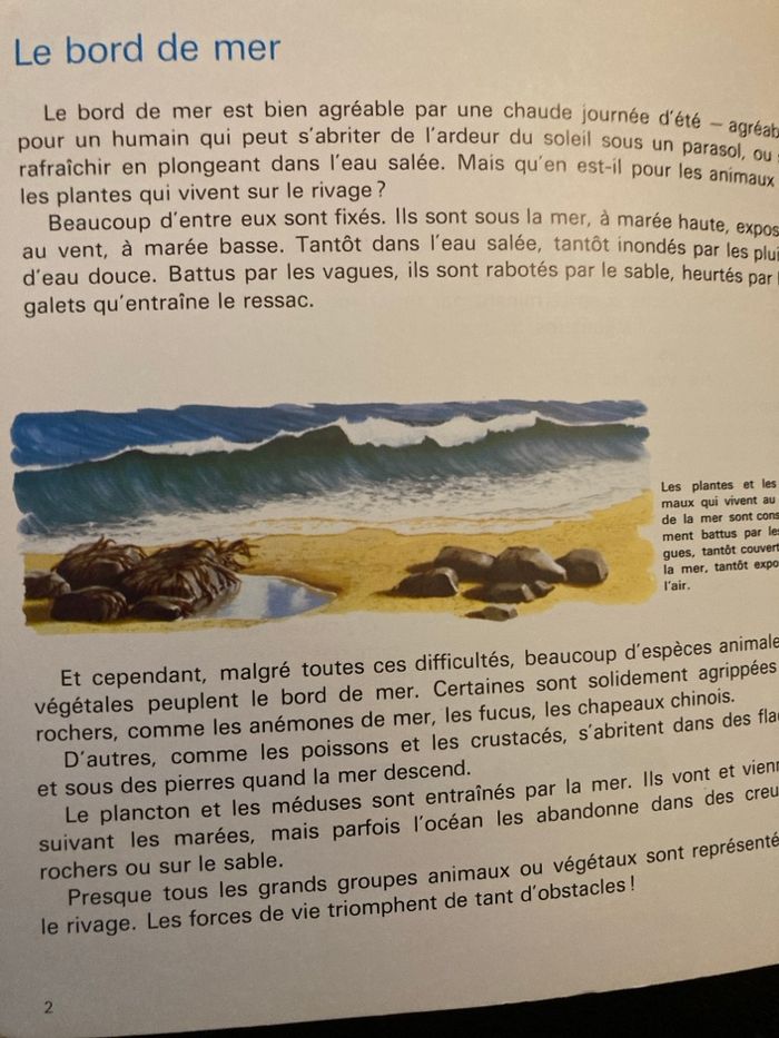 Livre « pour comprendre » - photo numéro 3