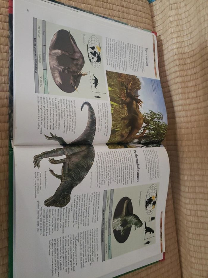 Le savoir compact les dinosaures - photo numéro 5