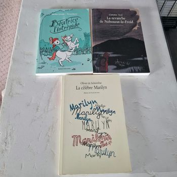 Lot de livres école des max 