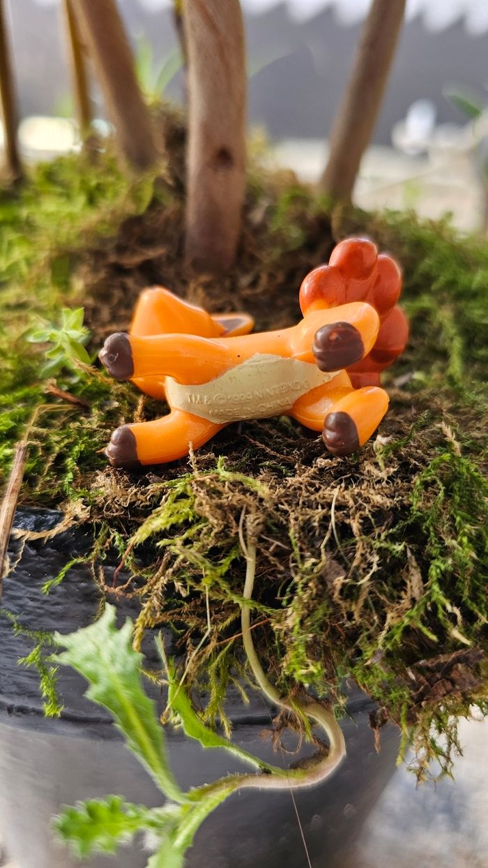 Super figurine Pokemon Nintendo Goupix - photo numéro 3