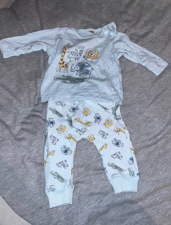 Ensemble animaux jungle