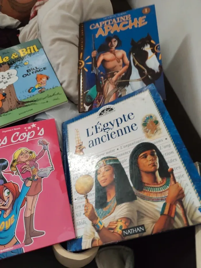 Lot de livres - photo numéro 5