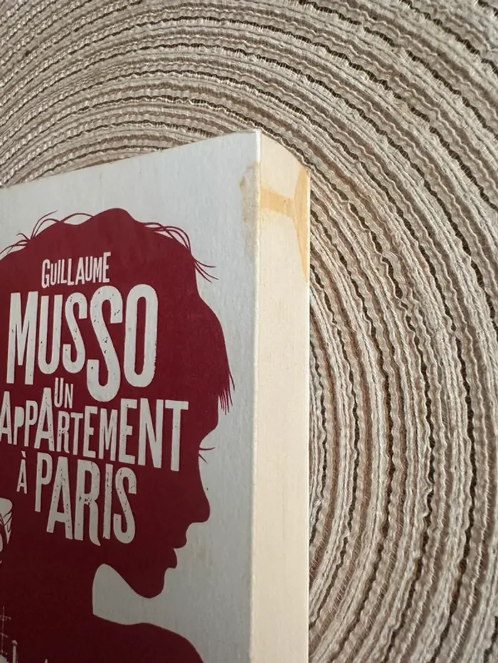 Livre Un appartement à Paris - photo numéro 8