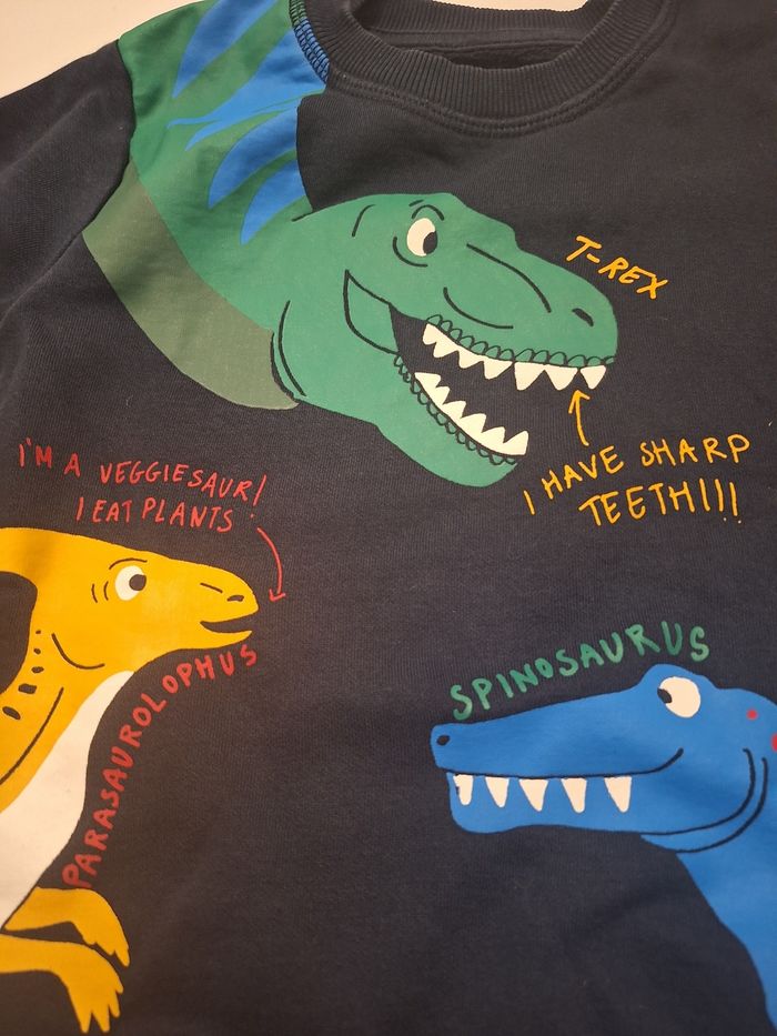 pull dinosaure 8 ans - photo numéro 2