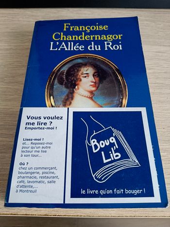 Livre L Allée du Roi