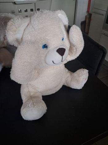 Ours caché coucou gipsy