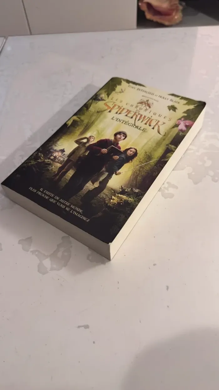 📚 Les Chroniques de Spiderwick – L’Intégrale par Tony DiTerlizzi et Holly Black - photo numéro 2