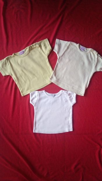 Lot de 3 tee-shirts manches courtes