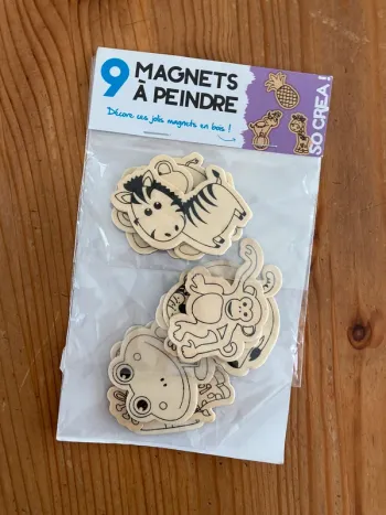 Magnets à peindre