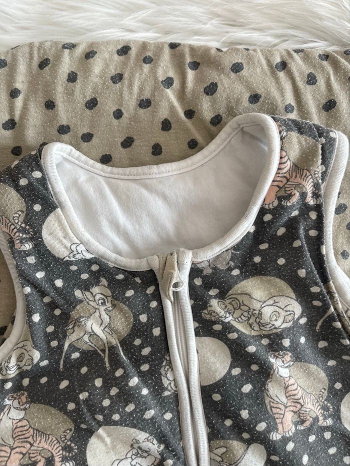 Gigoteuse d’hiver pour bébé garçon 18-48 mois  Disney - photo numéro 2